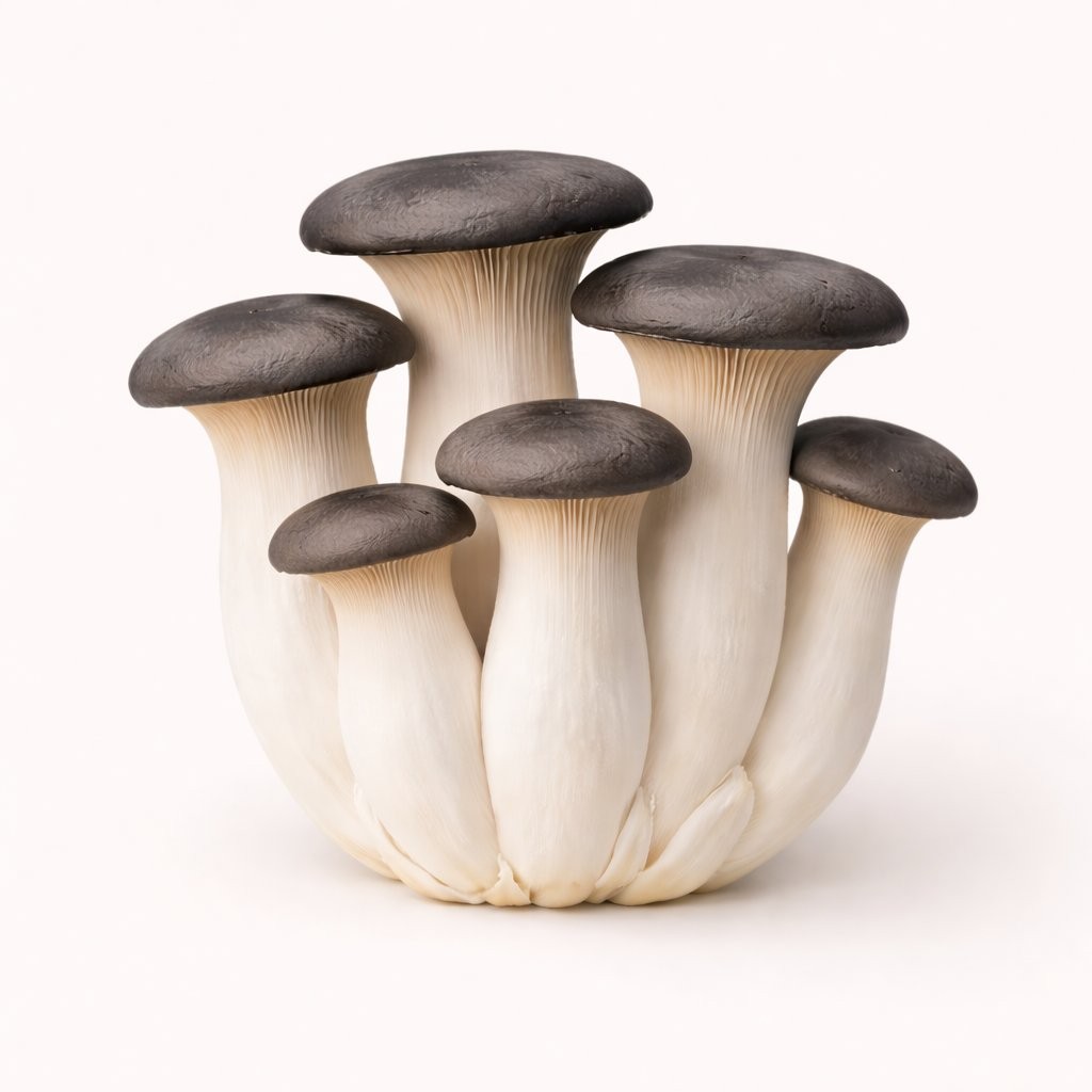 Black Pearl King mushroom