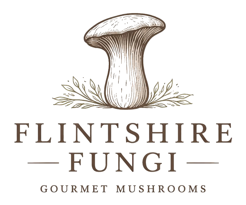 Flintshire Fungi — Gourmet Mushrooms
